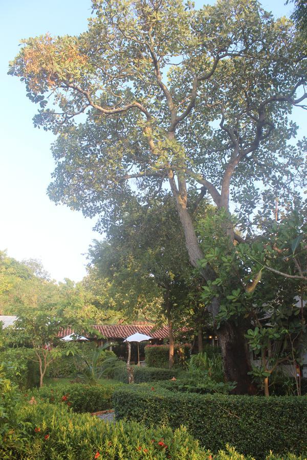 Lanta Happy Hill Hotel Ko Lanta Eksteriør billede